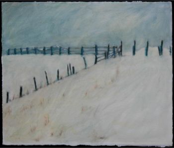 Running Fence - Middle Cove Beach
David Baltzer