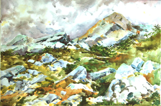 Barrens