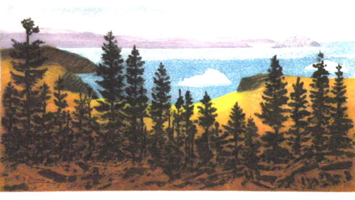 Fox-Island